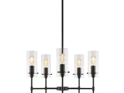 Barham Light Shaded Chandelier - 2 Colour 3D model