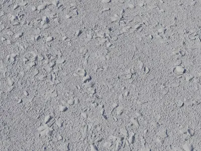 Autumn Fallen Leaves on Dirt Ground Seamless PBR Texture Texture