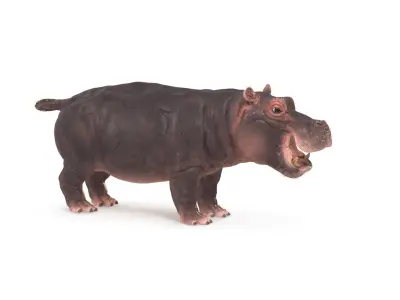  Hippo Textured 