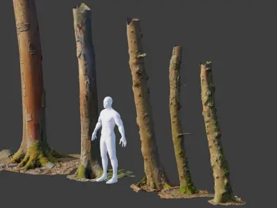 PBR Beech Tree Dead Trunk Collection Realistic Scan  Low-poly 3D model