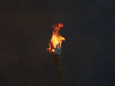 Animated Vdb Torch Fire 3D model
