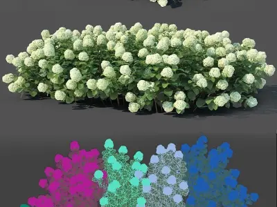 Hydrangea arborescens Nr2 - Customizable 3D model