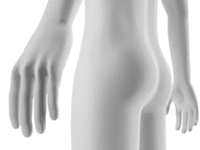  Rigged Human Hybrid Neutral Model 