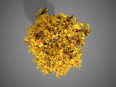 Lombardy Poplar Fall Tree Low-poly 3D model