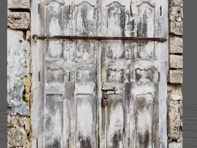 Ancient Indian wooden door with different type of lock security 3D model