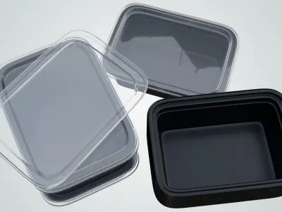 Reusable Lunch Box Container - Disposable 3D model