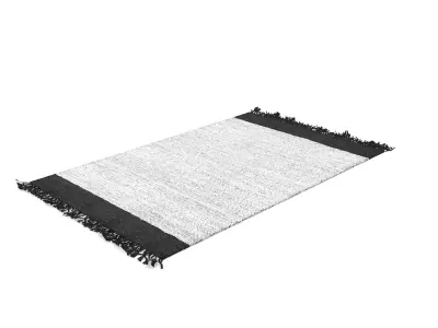 Handmade Otha Tassel Rug 5x8 Free 3D model