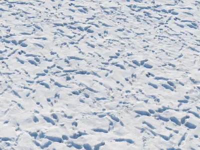 Ultra realistic Snow ground Scan  3D model