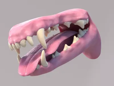 Dog Mouth 3D model