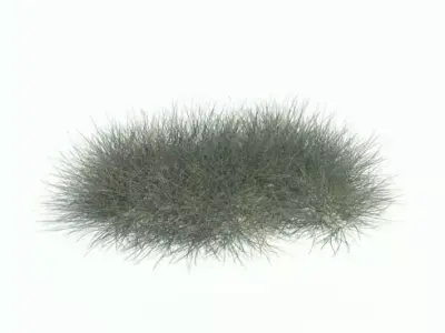 Green Grass 3D model