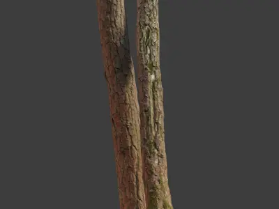 Tree Trunk Stump Scanned Processed Free low-poly 3D model