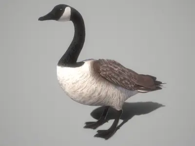  wild goose Low-poly 