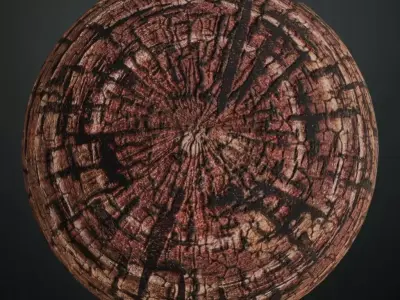 Charred Ancient Tree Log End PBR Seamless Texture