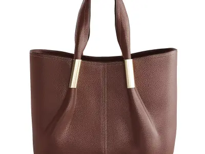 Bag Elisabetta Franchi 3D model