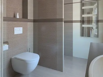 Wonderful shower  room 3D model