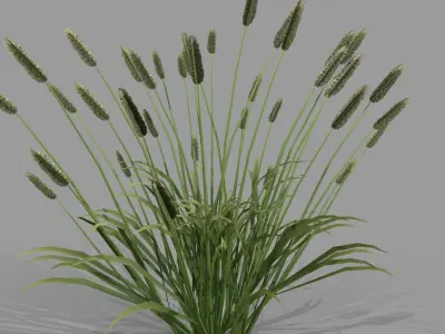 Shrub 2 tall grass Low-poly 3D model