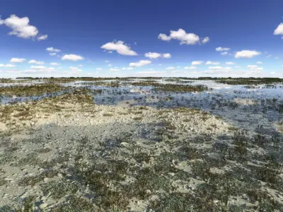 Marshland Swamp 3D model