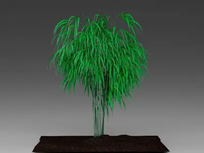 Decorative bamboo 3D model
