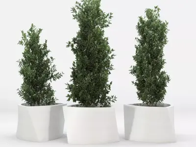 BILBAO three planters 3D model