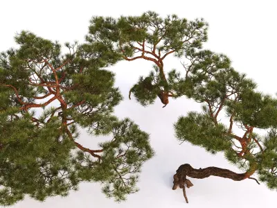 Tree 1 3D model