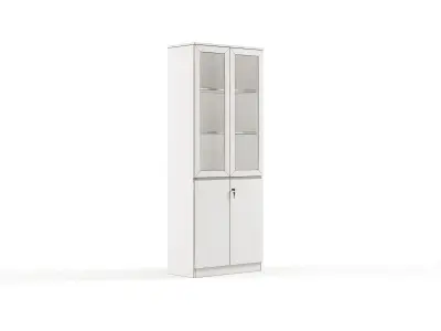 Modern Office High Cabinet File 2 For Staff  Free 3D model