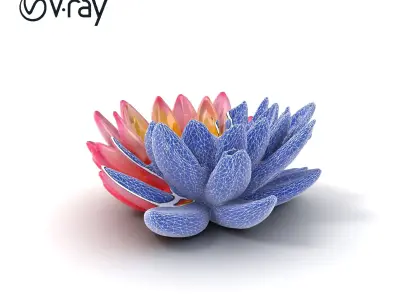 Light Pink Water Lily Detailed Natural Curvature model pack Low-poly 3D model