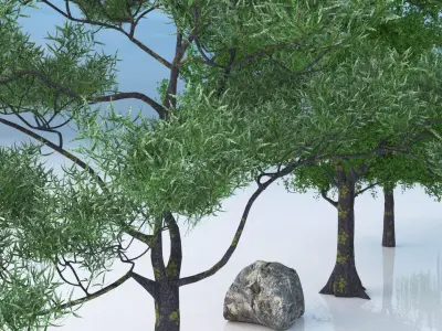 Realistic PBR Tree Rock Pack 3D model