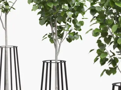 Landscaping kit with American linden  3D model