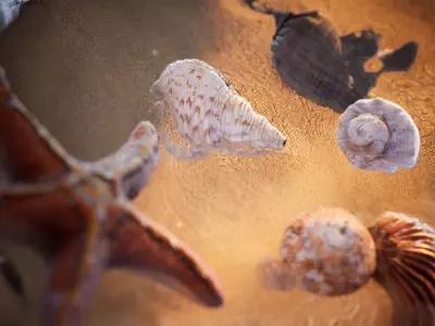 Sea Shells  24 Assets Low-poly 3D model