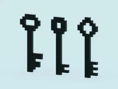 Voxel Black Keys Low-poly 3D model