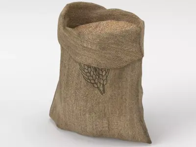 Food Sack Grain Open 3D Model 3D model