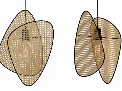 Pendant light cannage 3D model