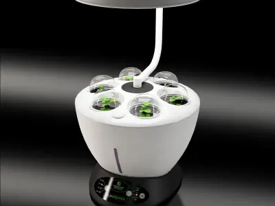 Revone Magic Garden phyto lamp Low-poly 3D model