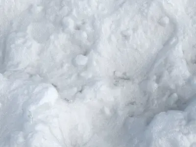 Snow scan 6 Low-poly 3D model