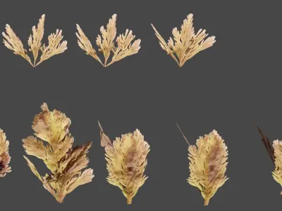 Ocean 4K 3d Plant 3D model