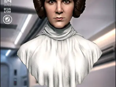 STAR WARS Leia Organa Portrait Bust 3D print model
