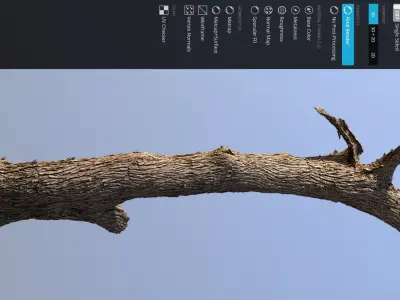 Tree Trunk 9 3D scan 3x16k - 2x8k Textures Blender Maya 3Ds-Max Low-poly 3D model