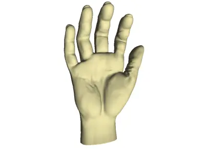 Male Hand 3D print model