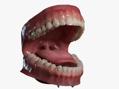  Mouth (Rigged) 