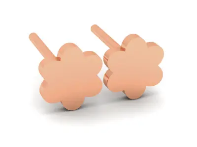 Women Earrings 3D print model