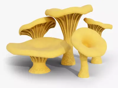 Chanterelle Mushroom Trees Low-poly 3D model