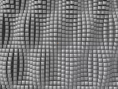 Parametric Wave Wall Panels 5 Pack ArchViz Interior 3D Models 3D model