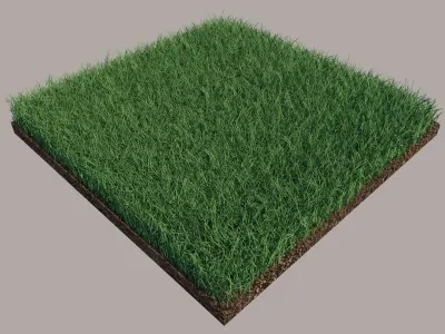 Grass 3D model