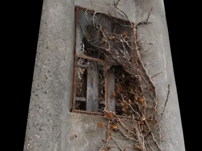 Window overgrown with plants 3D model