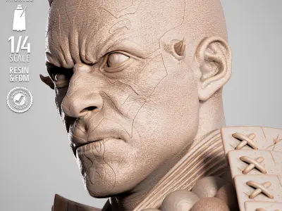 STAR WARS Darth Maul Samurai Portrait Bust 3D print model