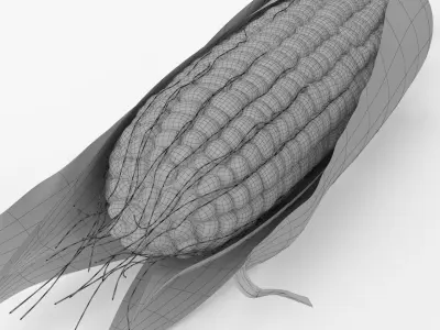 Realistic Corn 