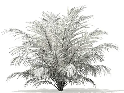 Golden Cane Palm Tree 3D Model 2m 3D model