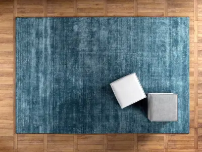 Josephine Rug 3D model