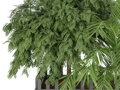 Collection plant vol 190 3D model