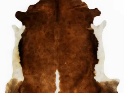 Four rugs from animal skins 06 3D model